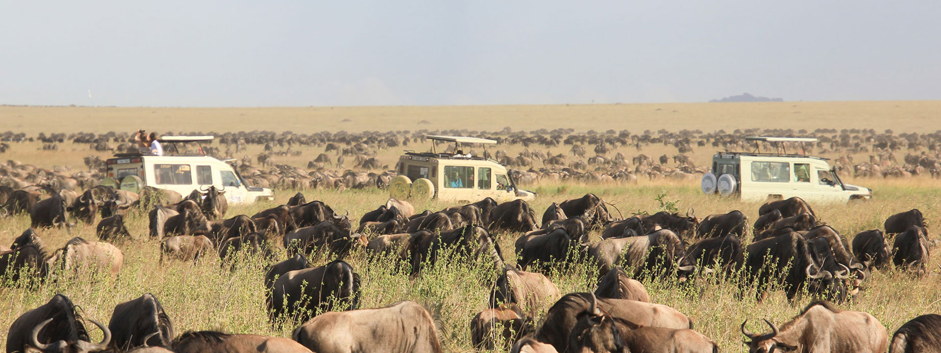 Masai Mara