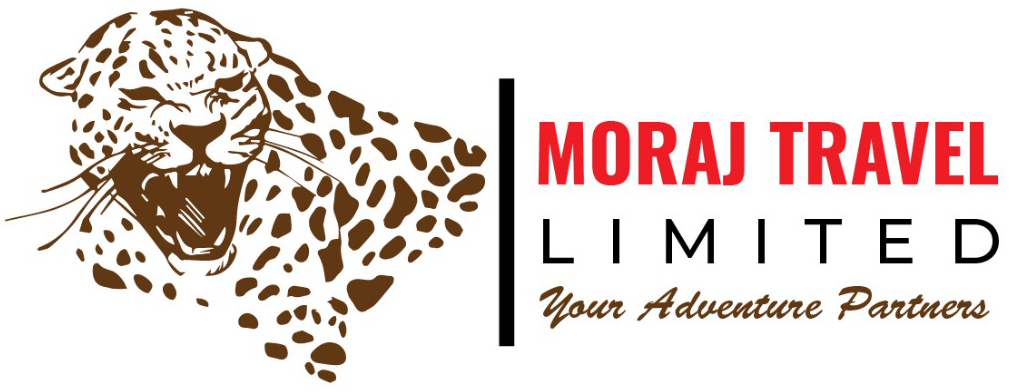 Moraj Travel Logo