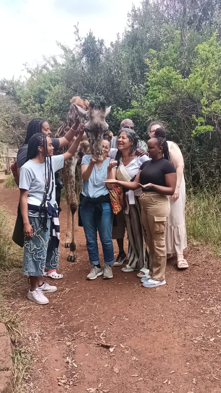 How Much Does a Kenya Safari Cost? A Guide to Planning Your Dream Safari.